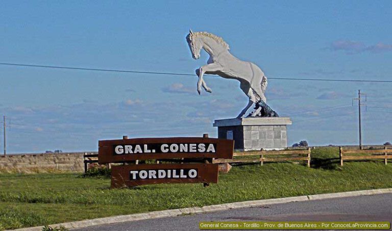 tordillo