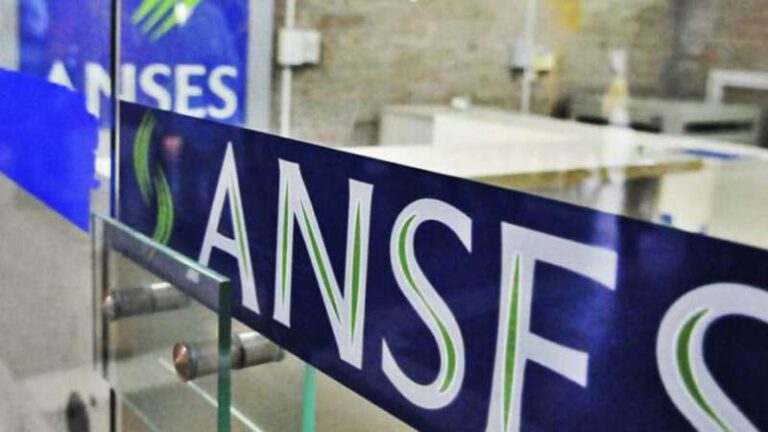ANSES