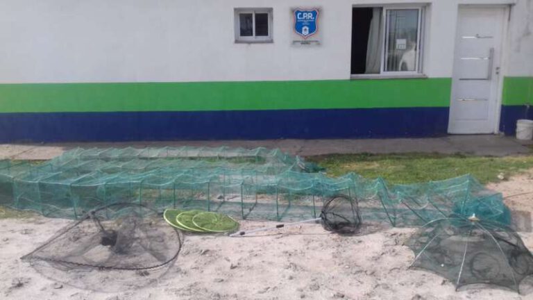 pesca 2