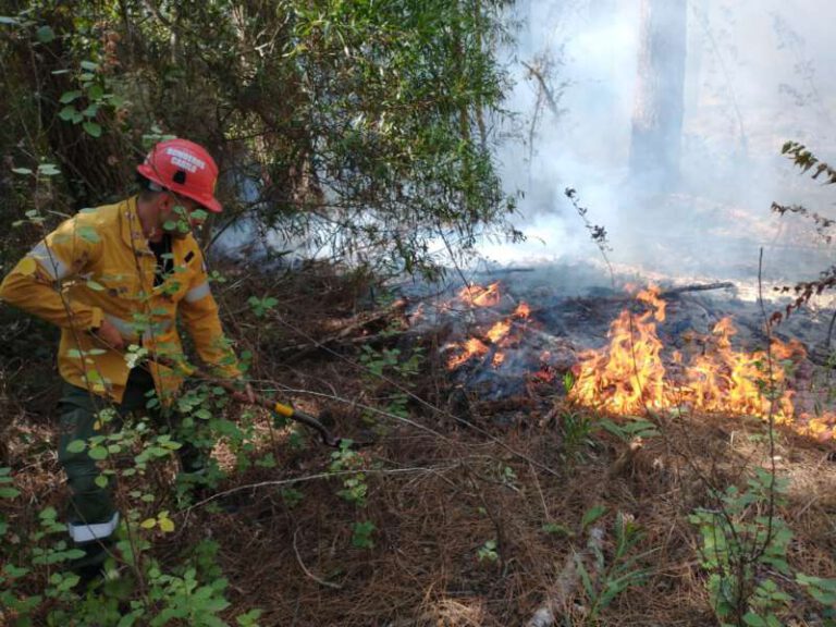 bomberos 3