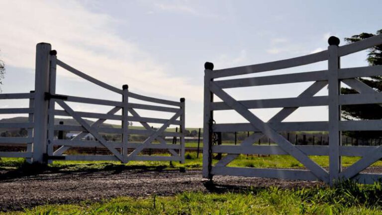 campo