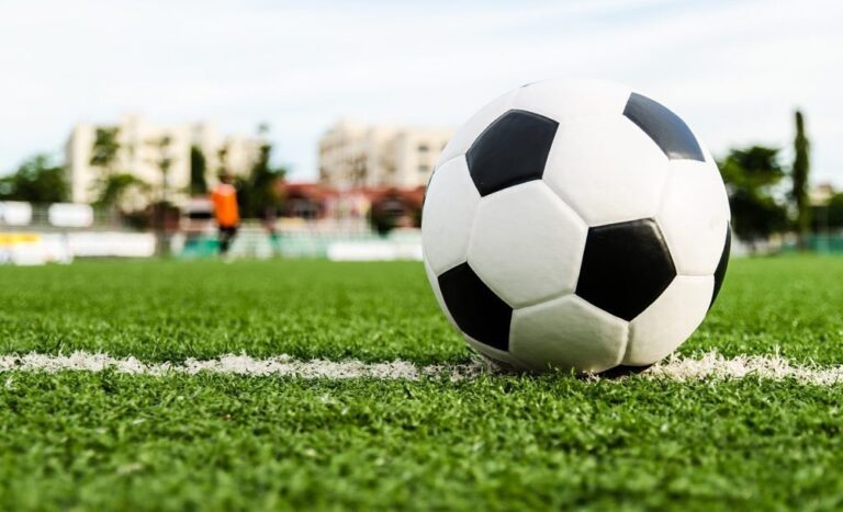 PELOTA