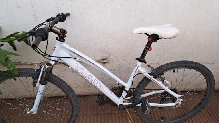 A BICI