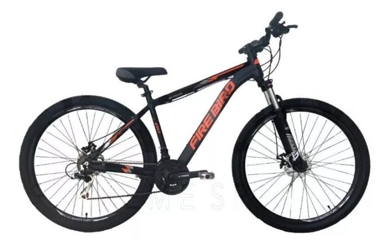 bici robada