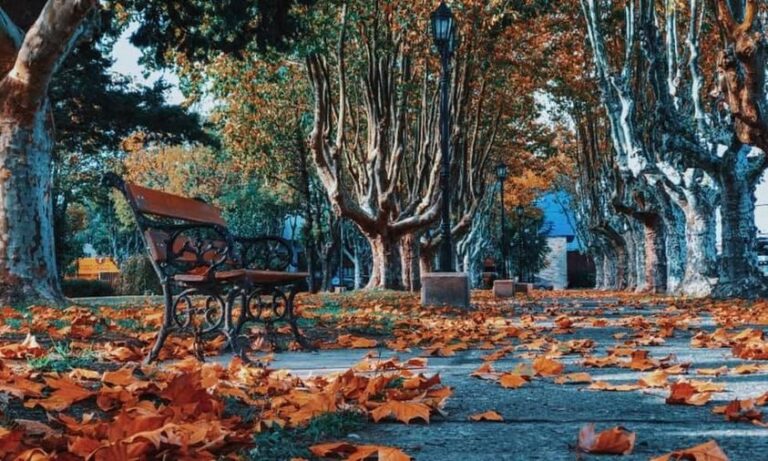 otoño