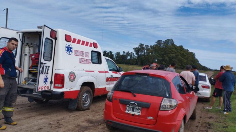 asistencia rural