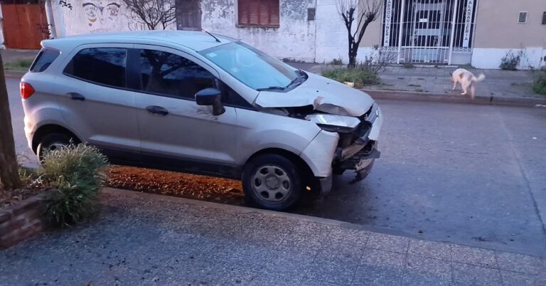 camio411