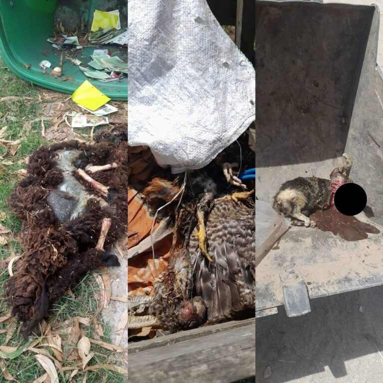 basura