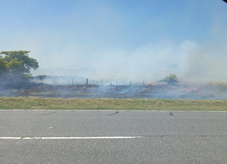 incendio 15